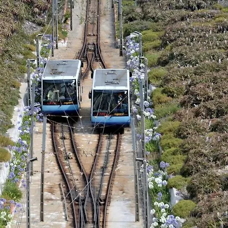 100 Meters From The Beach! Rua Da Regeneracao Nazaré
